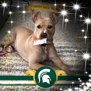 Meet your Posher, Brenda